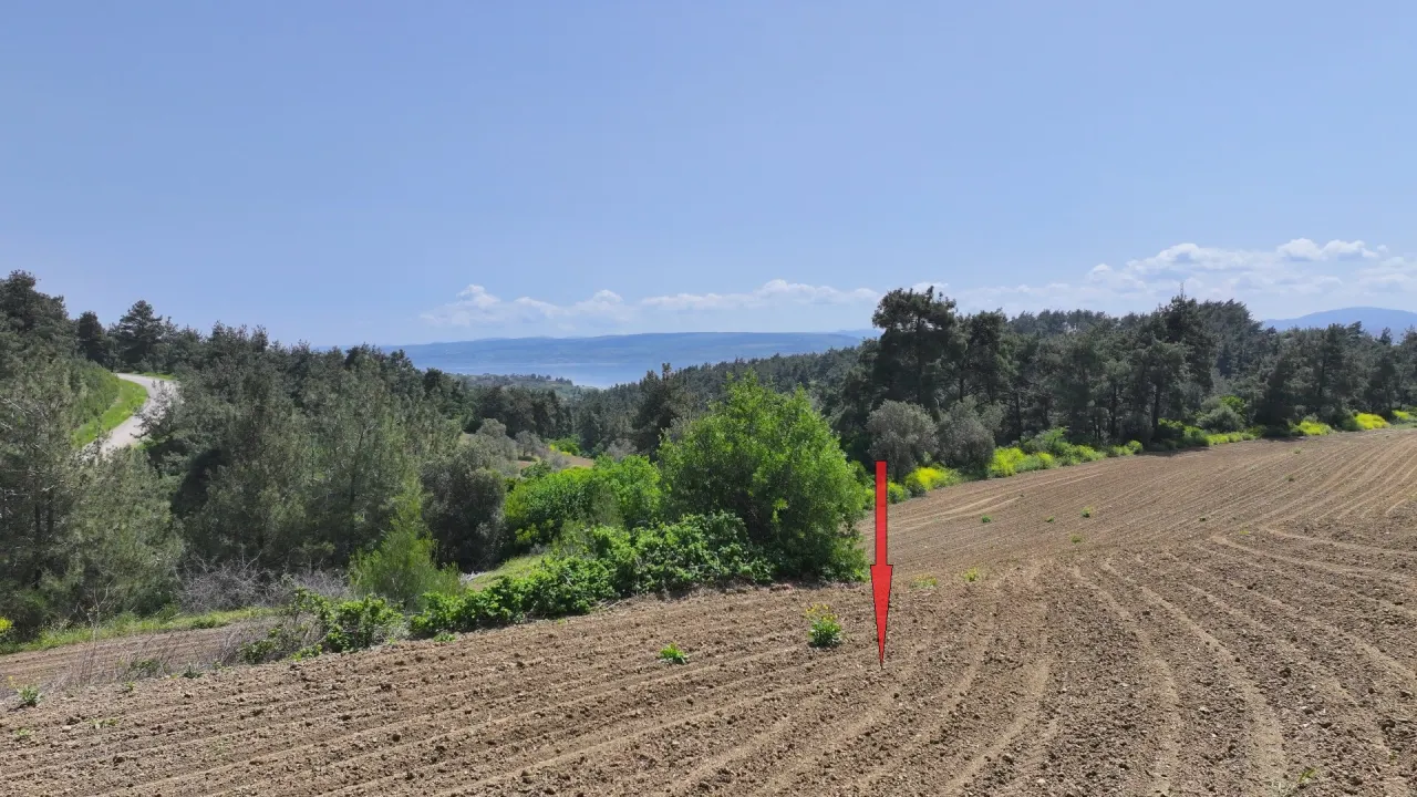 ÇANAKKALE GELİBOLU PAZARLIDA MÜSTAKİL TAPULU 6,517m2 TARLA - görsel 15