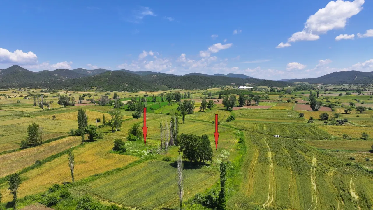 ÇANAKKALE GELİBOLU KARAİNEBEYLİ KÖYÜNDE 6,029m2 TARLA - görsel 9