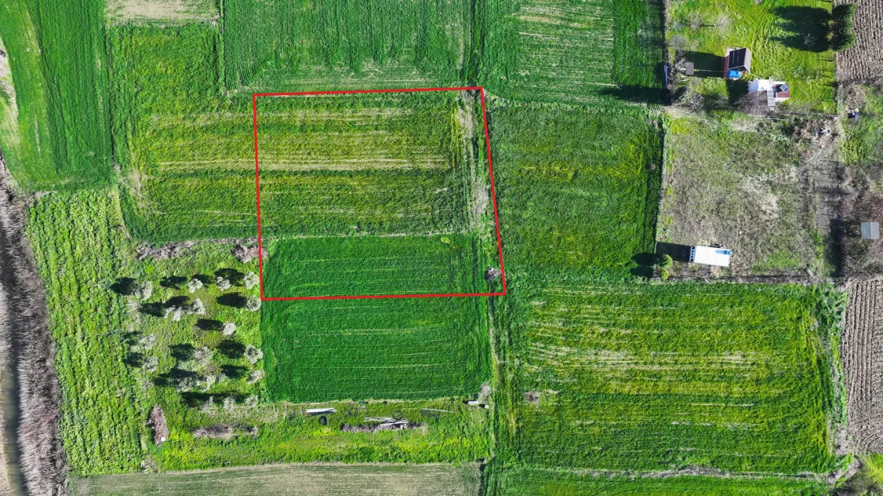 ÇANAKKALE GELİBOLU SÜTLÜCE'DE KÖPRÜ MANZARALI 929m2 TARLA - görsel 7