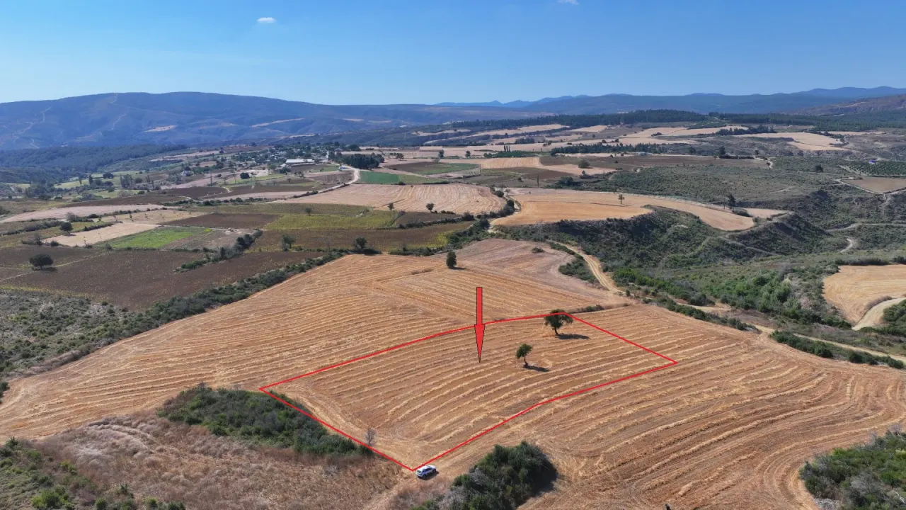 ÇANAKKALE GELİBOLU PAZARLI'DA MÜSTAKİL TAPULU 6,964m2 TARLA - görsel 3