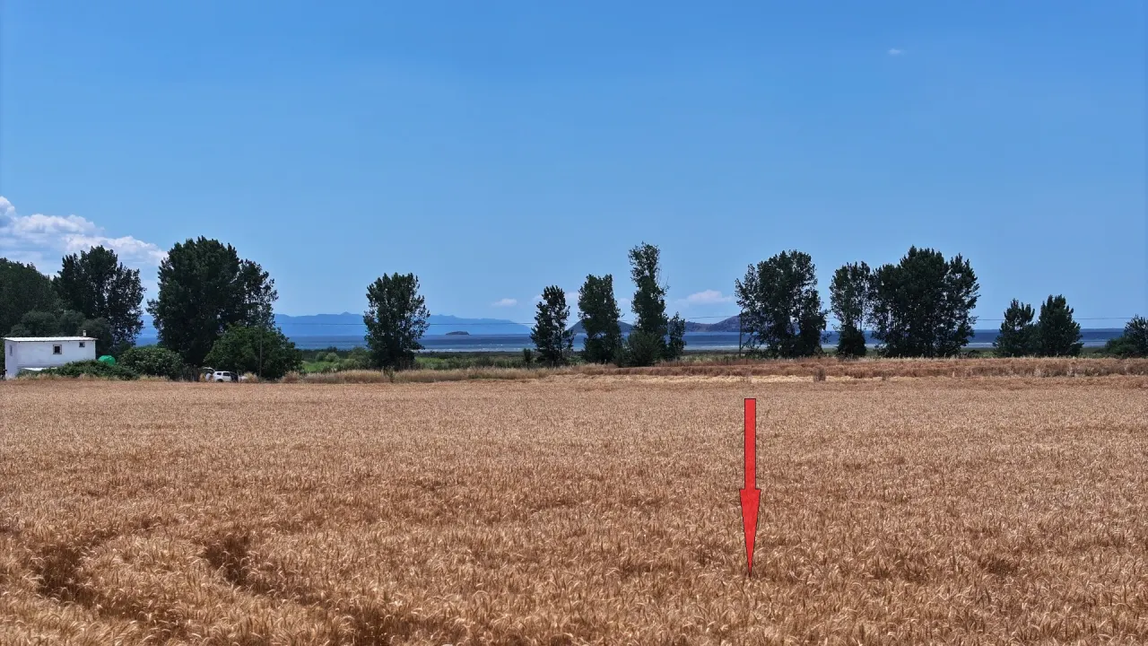 GELİBOLU ŞADILLIDA MÜSTAKİL TAPULU DENİZ MANZARALI 12,613m2 TARLA - görsel 14