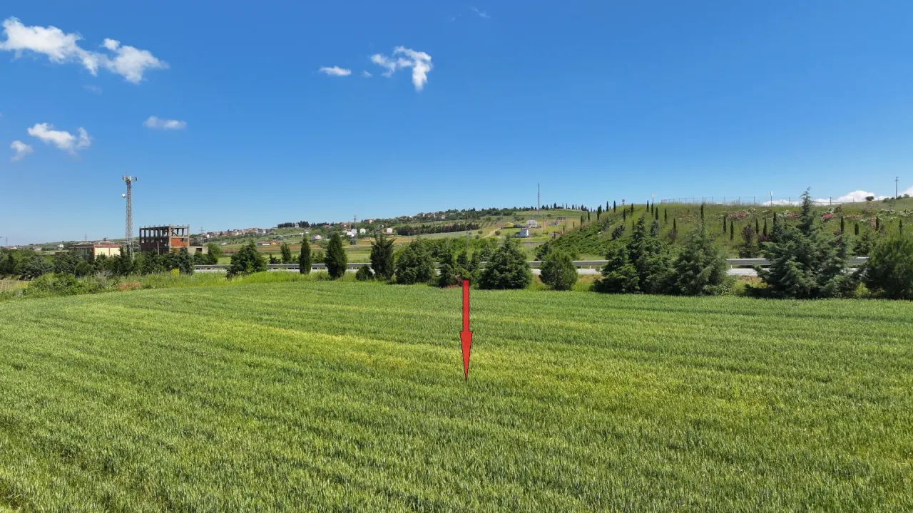 ÇANAKKALE GELİBOLU BOLAYIRDA ANAYOLA CEPHE 10,004m2 TARLA - görsel 17