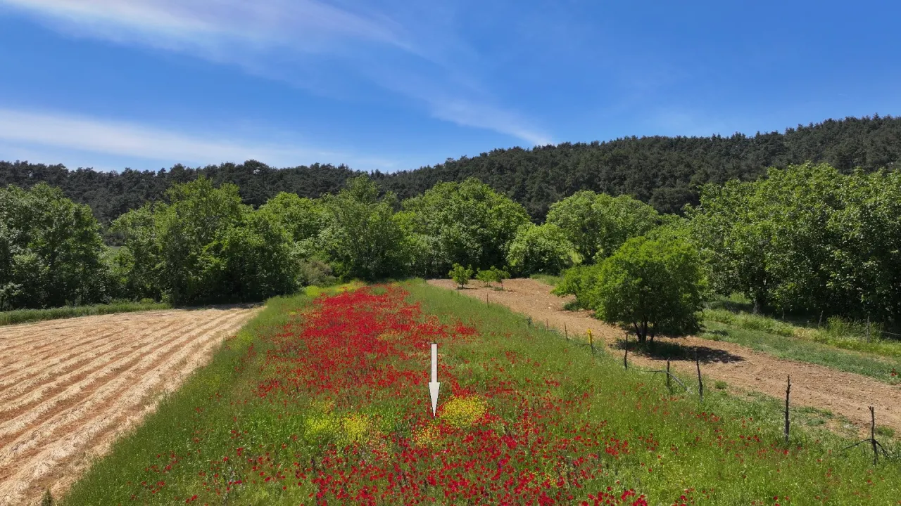 ÇANAKKALE GELİBOLU ILGARDERE'DE KÖY İÇERİSİNDE 5,140m2 TARLA - görsel 20