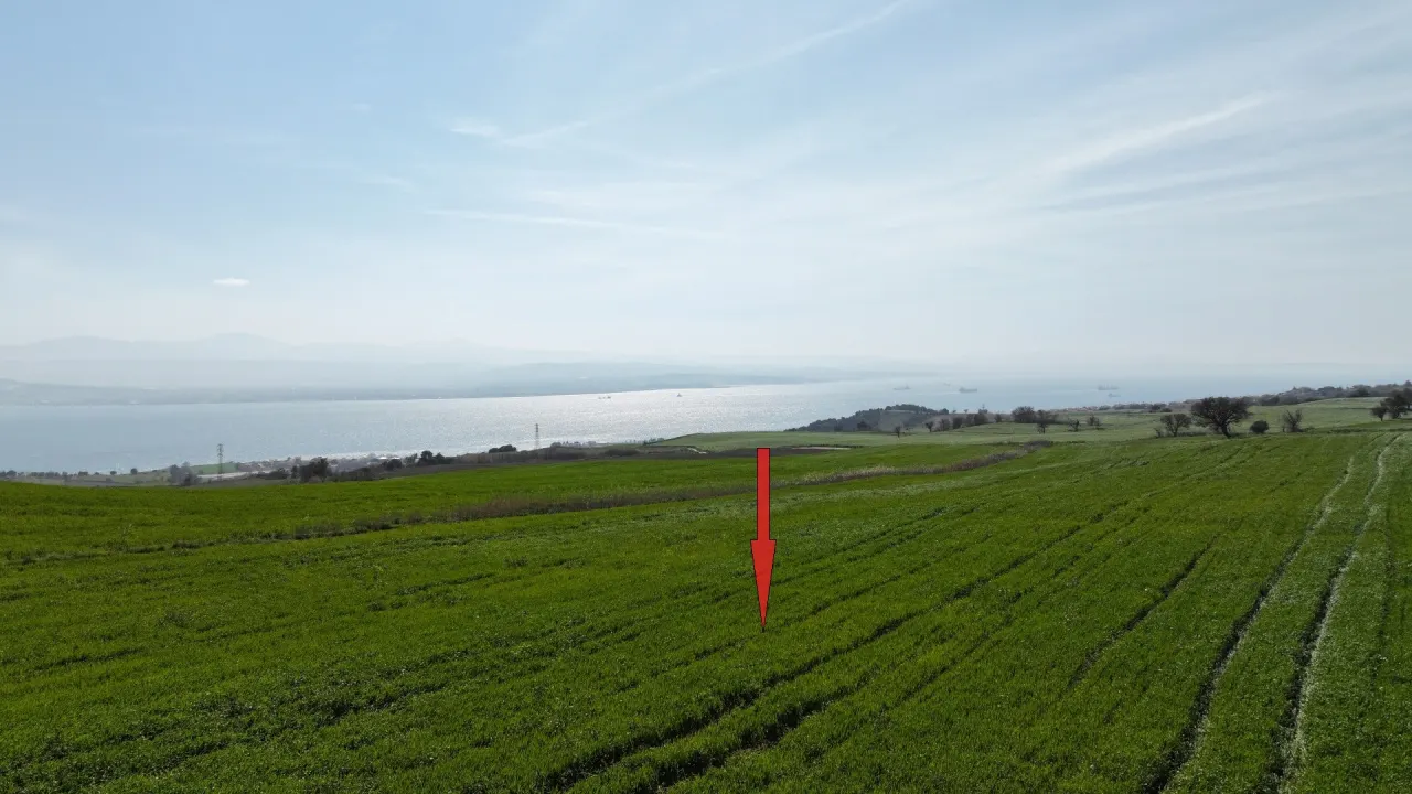 GELİBOLU BURHANLIDA BOĞAZ VE DENİZ MANZARALI 10,577m2 TARLA - görsel 7