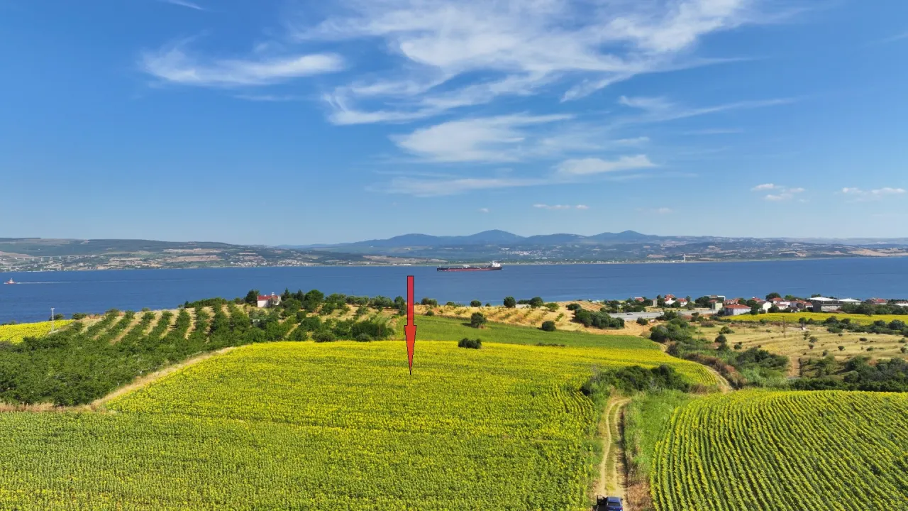 ÇANAKKALE GELİBOLU SÜTLÜCE'DE DENİZ MANZARALI 9,908m2 TARLA - görsel 9