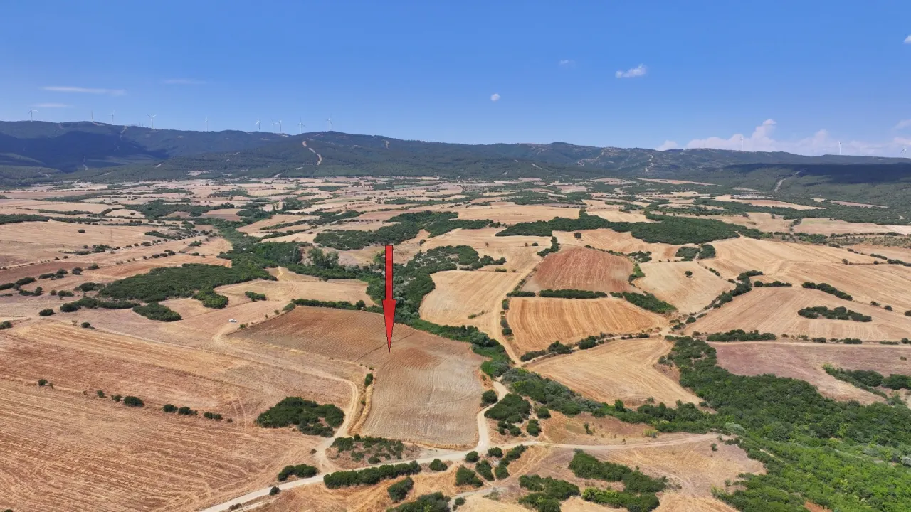 ÇANAKKALE GELİBOLU BAYRAMİÇ KÖYÜ'NDE 10.382 m² MÜSTAKİL TAPULU TARLA - görsel 3