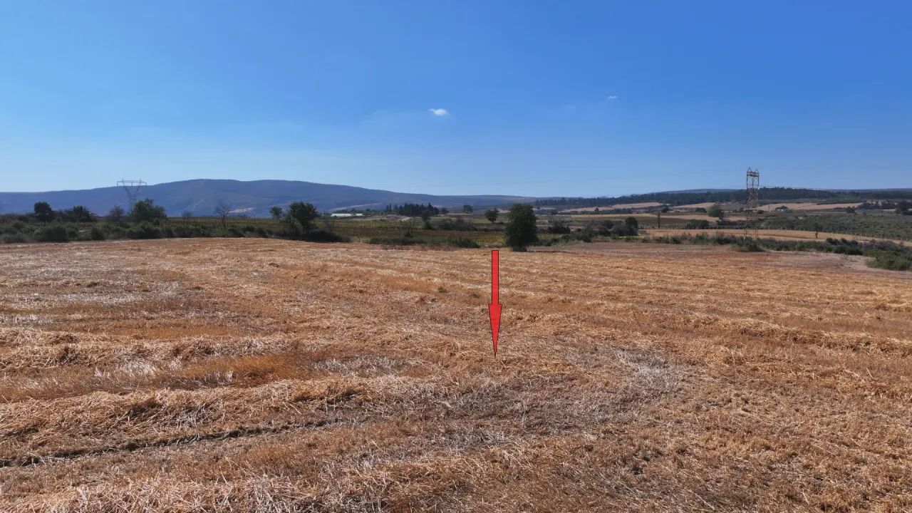 ÇANAKKALE GELİBOLU PAZARLI'DA MÜSTAKİL TAPULU 6,964m2 TARLA - görsel 12