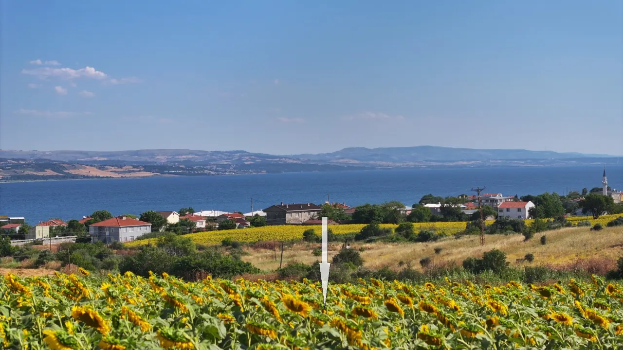ÇANAKKALE GELİBOLU SÜTLÜCE'DE DENİZ MANZARALI 9,908m2 TARLA - görsel 11