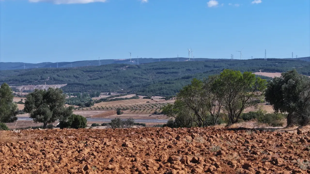 ÇANAKKALE GELİBOLU YÜLÜCEDE KÖYE YAKIN KONUMDA 608m2 TARLA - görsel 16