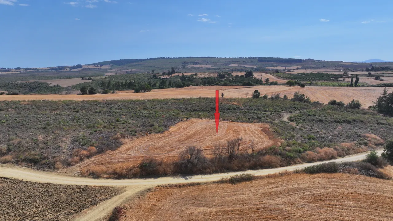 ÇANAKKALE GELİBOLU PAZARLI'DA KÖYE YAKIN MESAFEDE 2,050m2 TARLA - görsel 6