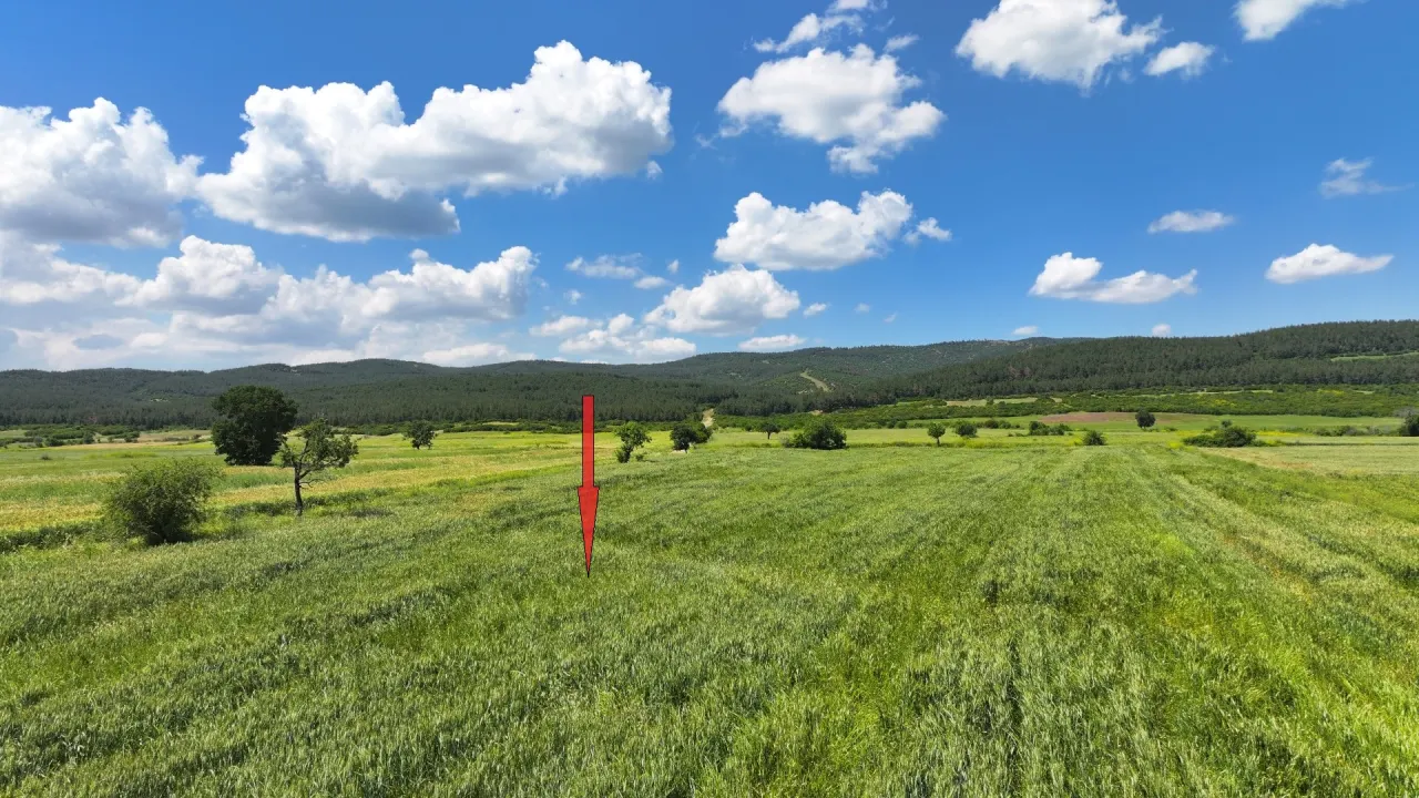 ÇANAKKALE GELİBOLU SÜLEYMANİYEDE MÜSTAKİL TAPULU 9,172m2 TARLA - görsel 6