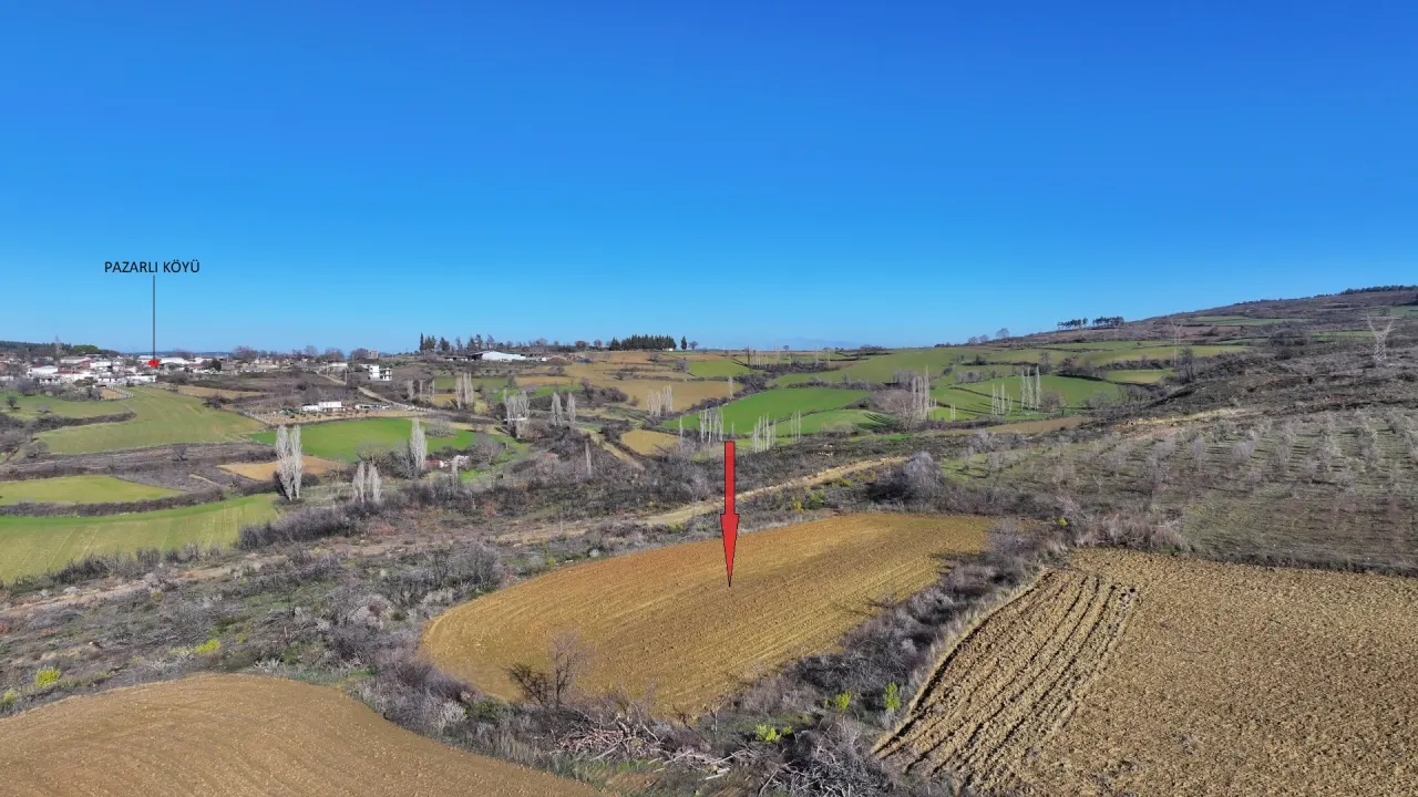 ÇANAKKALE GELİBOLU PAZARLIDA 2,885m2 TARLA - görsel 16