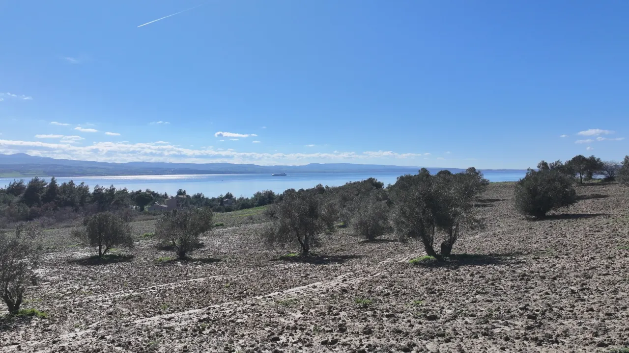 GELİBOLU BURHANLIDA DENİZ VE DOĞA MANZARALI 20,573m2 TARLA - görsel 5