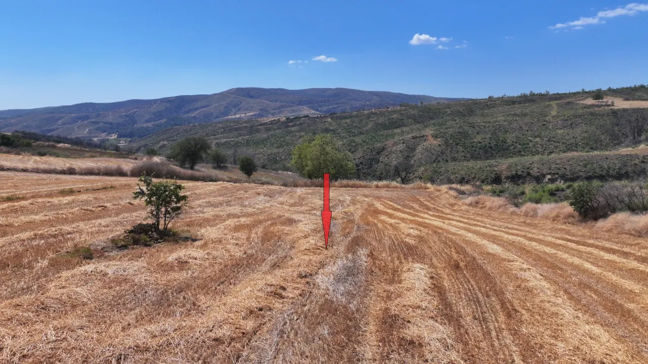 ÇANAKKALE GELİBOLU PAZARLIDA MÜSTAKİL TAPULU 6,493m2 TARLA - görsel 10