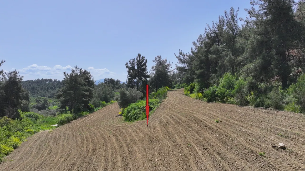 ÇANAKKALE GELİBOLU PAZARLIDA MÜSTAKİL TAPULU 6,517m2 TARLA - görsel 19