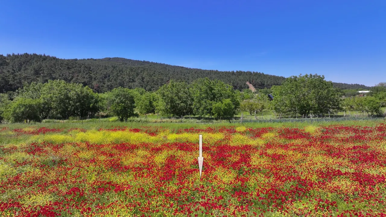 ÇANAKKALE GELİBOLU ILGARDERE'DE KÖY İÇERİSİNDE 5,140m2 TARLA - görsel 9