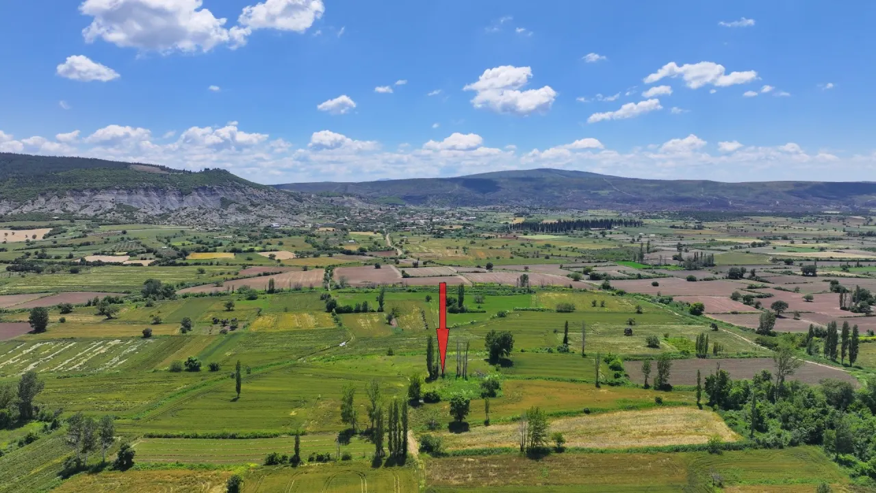 ÇANAKKALE GELİBOLU KARAİNEBEYLİ KÖYÜNDE 6,029m2 TARLA - görsel 4