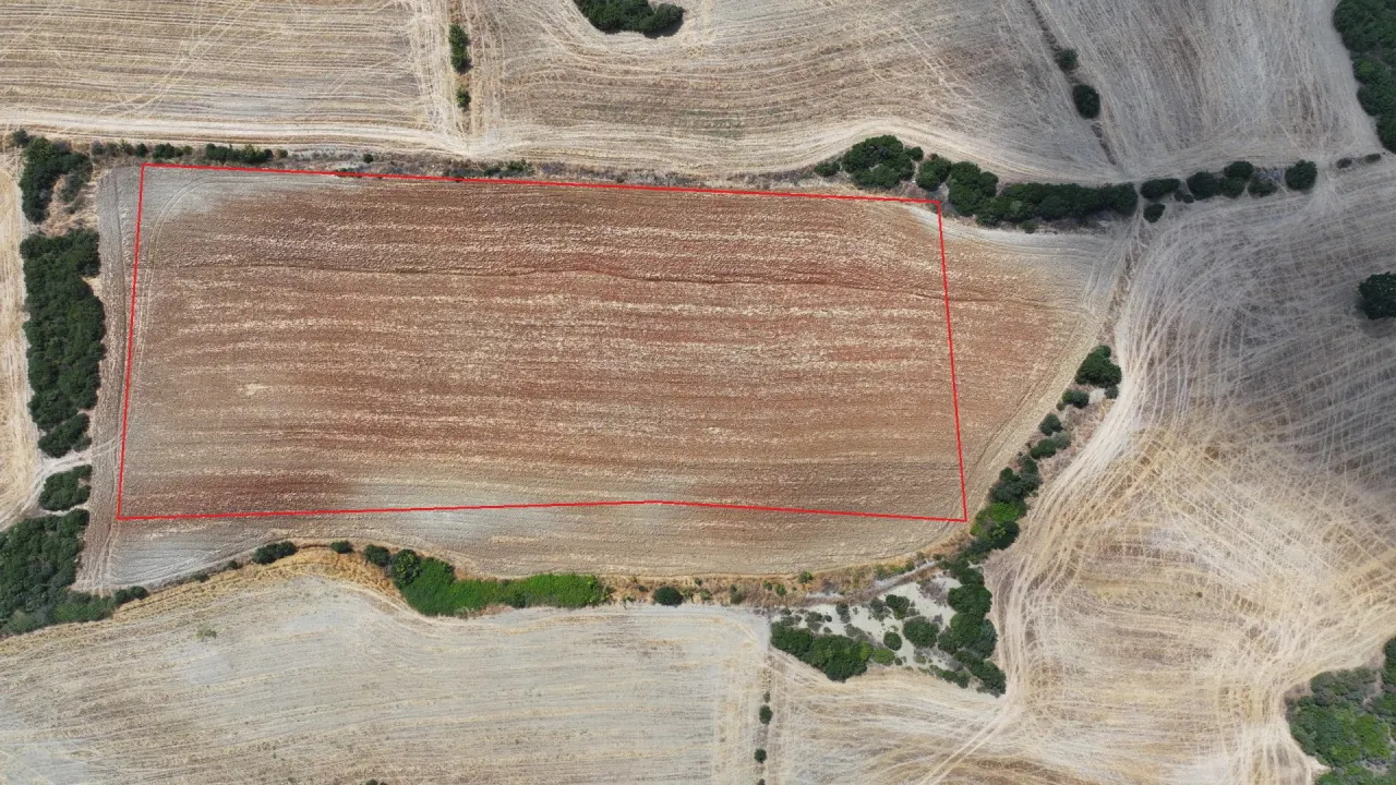 ÇANAKKALE GELİBOLU BAYRAMİÇ KÖYÜ'NDE 9,660 m² MÜSTAKİL TAPULU TARLA - görsel 5
