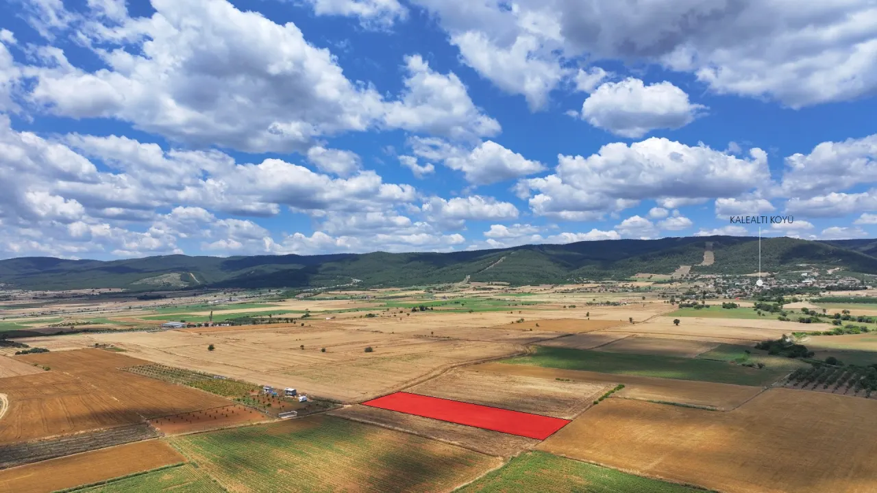 ÇANAKKALE GELİBOLU KALEALTINDA DENİZ MANZARALI 3,800m2 TARLA - görsel 8