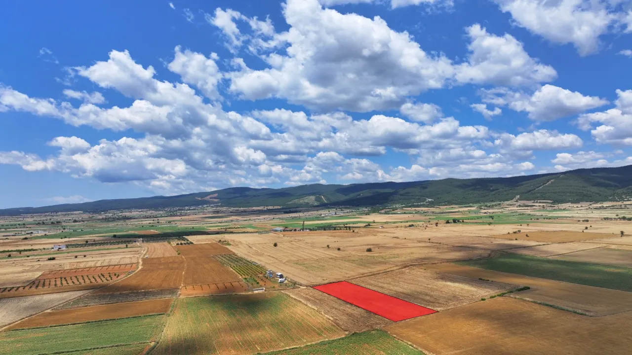 ÇANAKKALE GELİBOLU KALEALTINDA DENİZ MANZARALI 3,800m2 TARLA - görsel 12