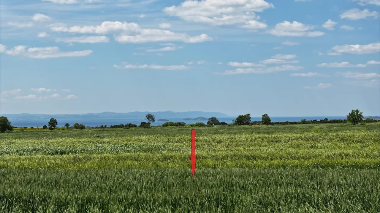 ÇANAKKALE GELİBOLU SÜLEYMANİYEDE MÜSTAKİL TAPULU 9,172m2 TARLA - görsel 18