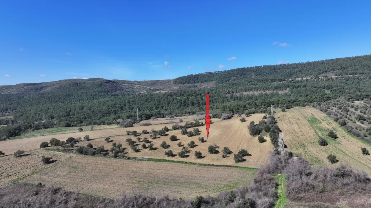 GELİBOLU BURHANLIDA DENİZ VE DOĞA MANZARALI 20,573m2 TARLA - görsel 18