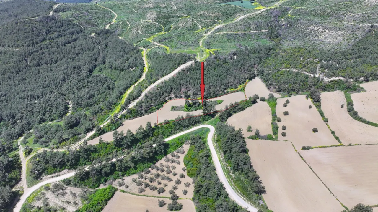 ÇANAKKALE GELİBOLU PAZARLIDA MÜSTAKİL TAPULU 6,517m2 TARLA - görsel 11