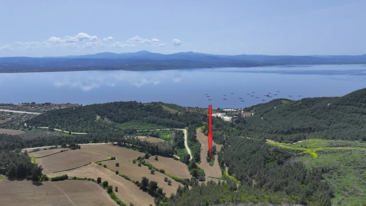 ÇANAKKALE GELİBOLU PAZARLIDA MÜSTAKİL TAPULU 6,517m2 TARLA - görsel 5