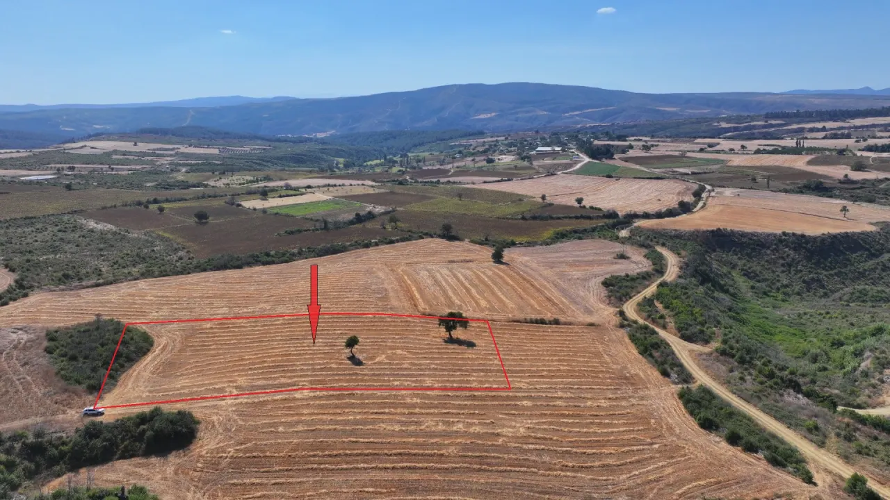 ÇANAKKALE GELİBOLU PAZARLI'DA MÜSTAKİL TAPULU 6,964m2 TARLA - görsel 2