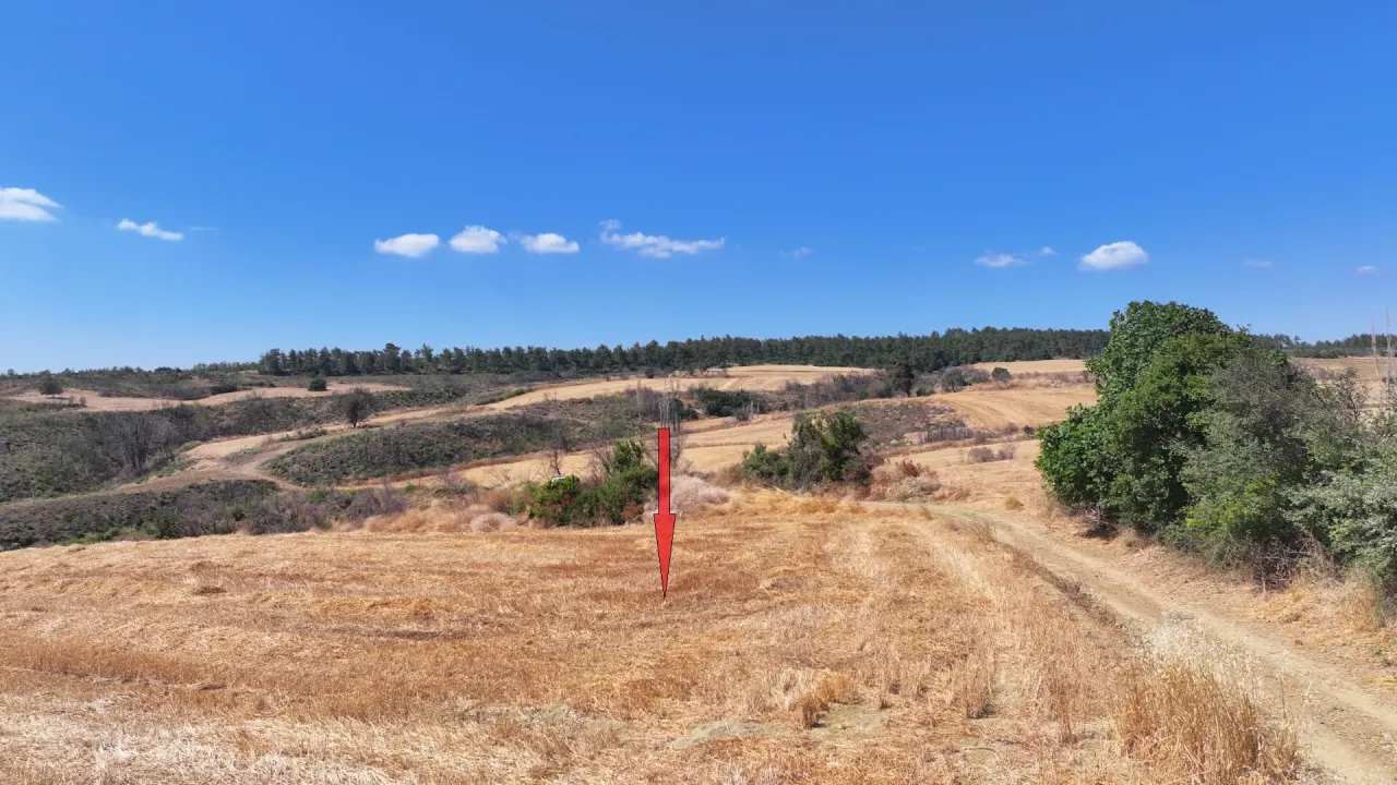 ÇANAKKALE GELİBOLU PAZARLIDA MÜSTAKİL TAPULU 6,493m2 TARLA - görsel 12