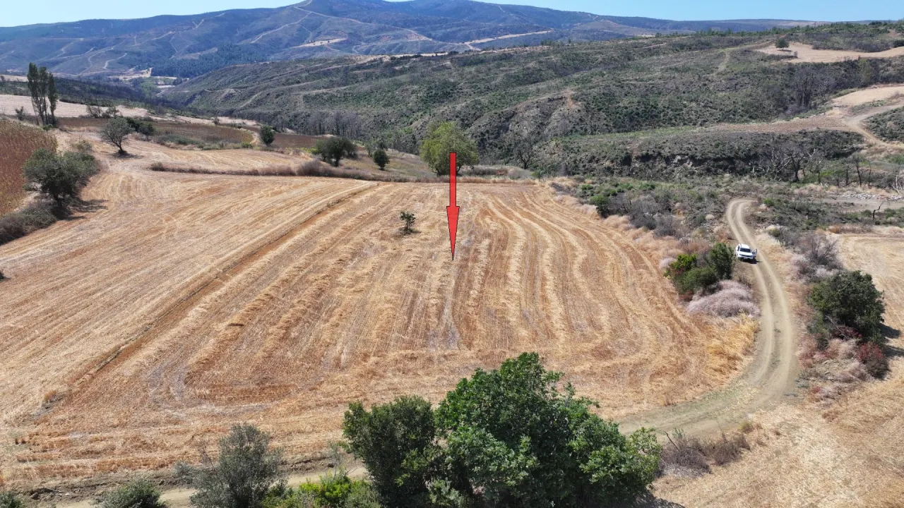 ÇANAKKALE GELİBOLU PAZARLIDA MÜSTAKİL TAPULU 6,493m2 TARLA - görsel 8