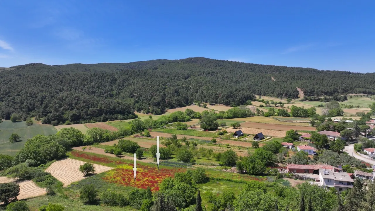 ÇANAKKALE GELİBOLU ILGARDERE'DE KÖY İÇERİSİNDE 5,140m2 TARLA - görsel 19