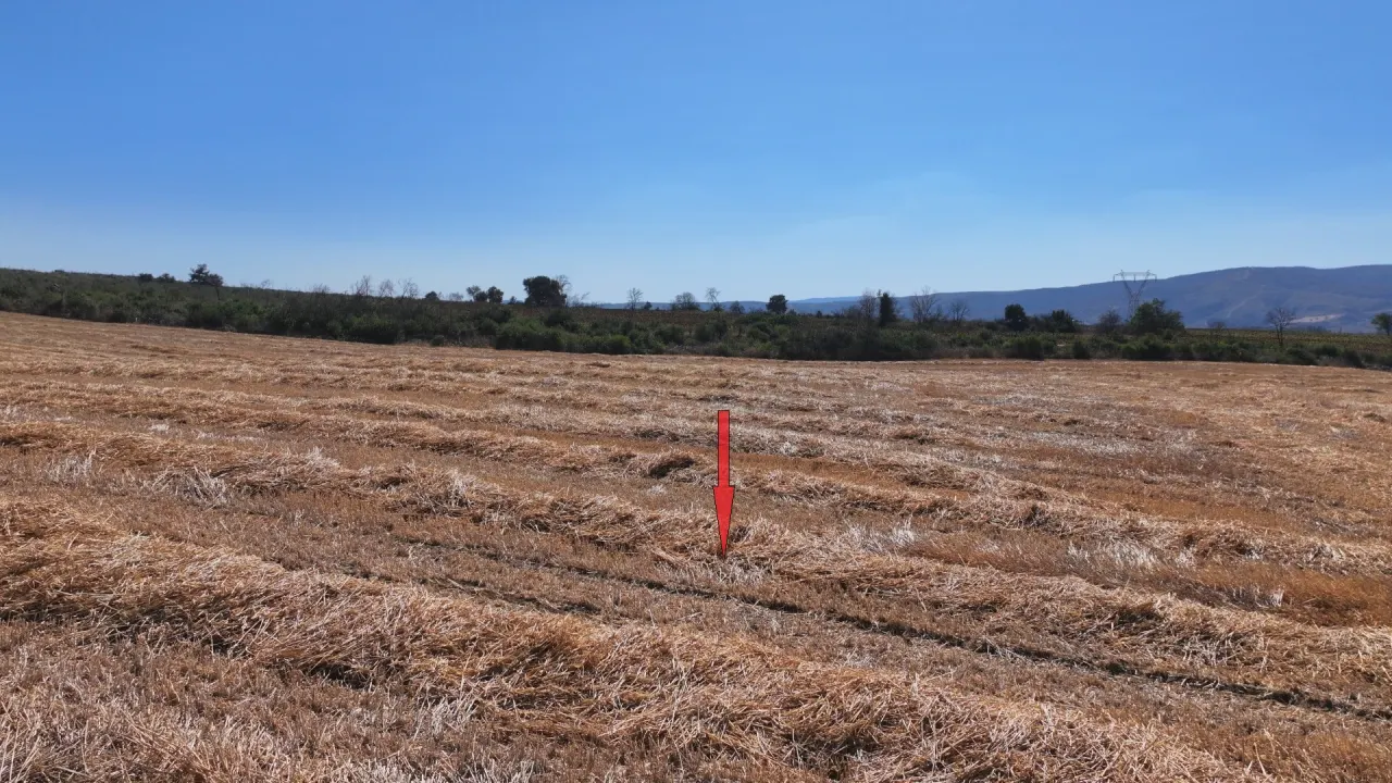 ÇANAKKALE GELİBOLU PAZARLI'DA MÜSTAKİL TAPULU 6,964m2 TARLA - görsel 13
