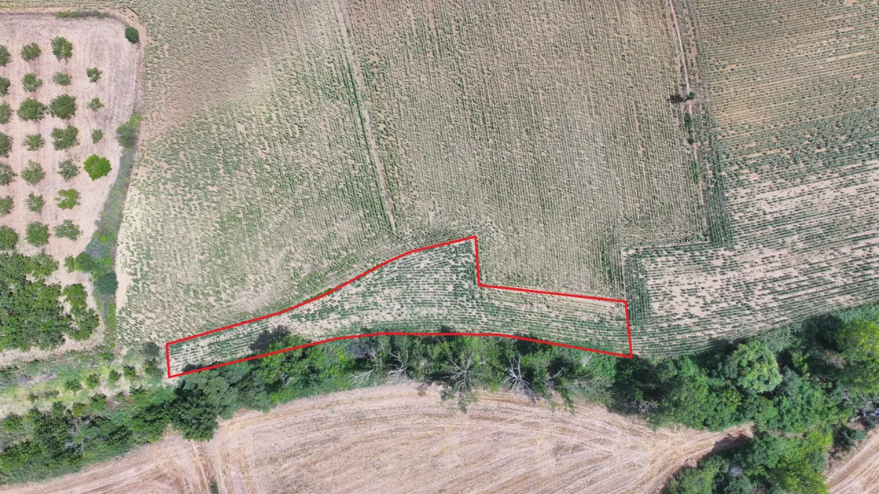 Çanakkale Gelibolu Şadıllı Köyünde Müstakil Tapulu 1,471m2 Tarla - görsel 6