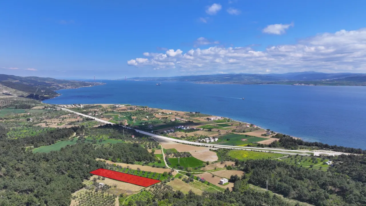 GELİBOLU ILGARDEREDE MÜSTAKİL TAPULU 4,205m2 ZEYTİNLİK - görsel 2