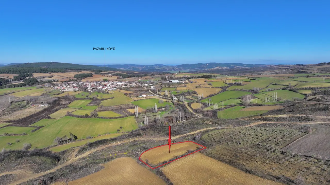 ÇANAKKALE GELİBOLU PAZARLIDA 2,885m2 TARLA - görsel 17