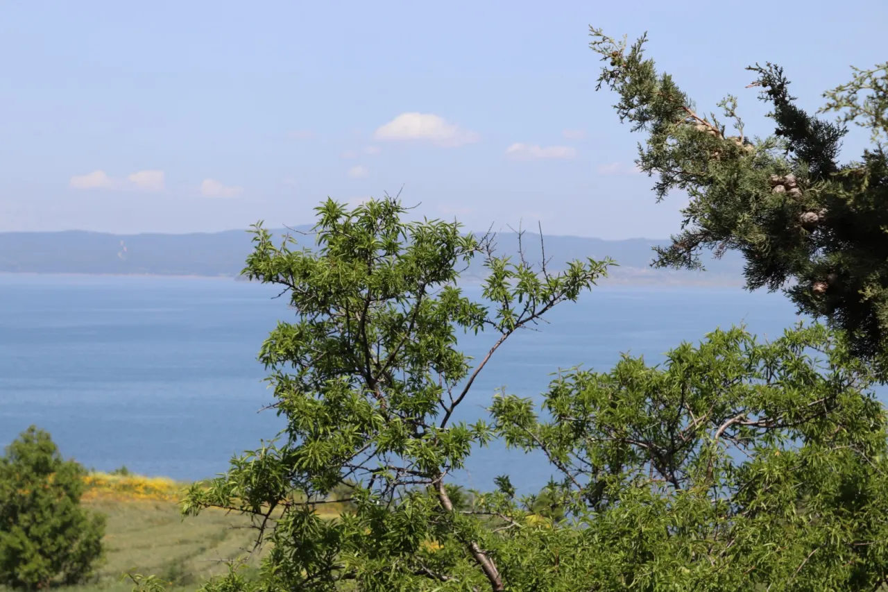 Gelibolu Bolayır’da Deniz Manzaralı İkiz Nizam Satılık Müstakil Yazlık - görsel 25