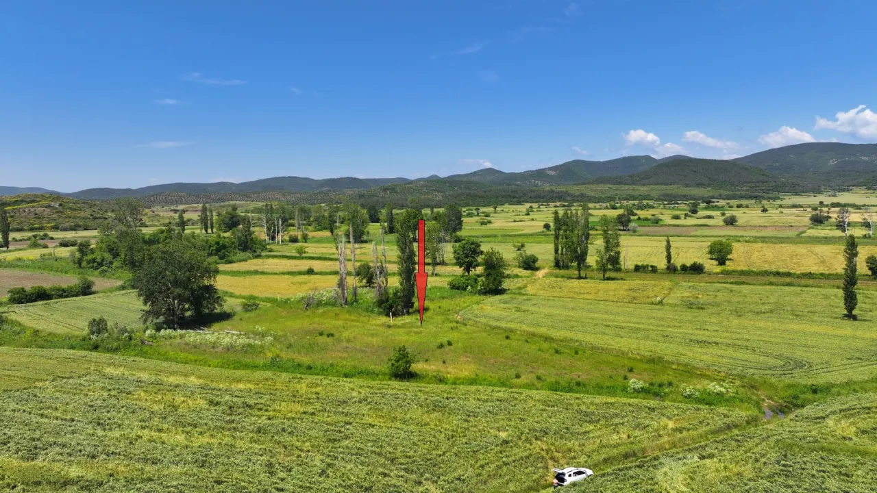 ÇANAKKALE GELİBOLU KARAİNEBEYLİ KÖYÜNDE 6,029m2 TARLA - görsel 5