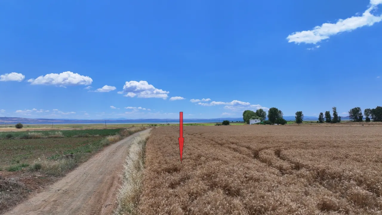 GELİBOLU ŞADILLIDA MÜSTAKİL TAPULU DENİZ MANZARALI 12,613m2 TARLA - görsel 13