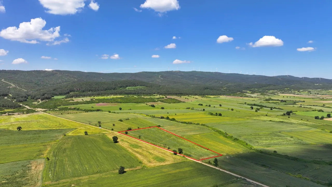 ÇANAKKALE GELİBOLU SÜLEYMANİYEDE MÜSTAKİL TAPULU 9,172m2 TARLA - görsel 10