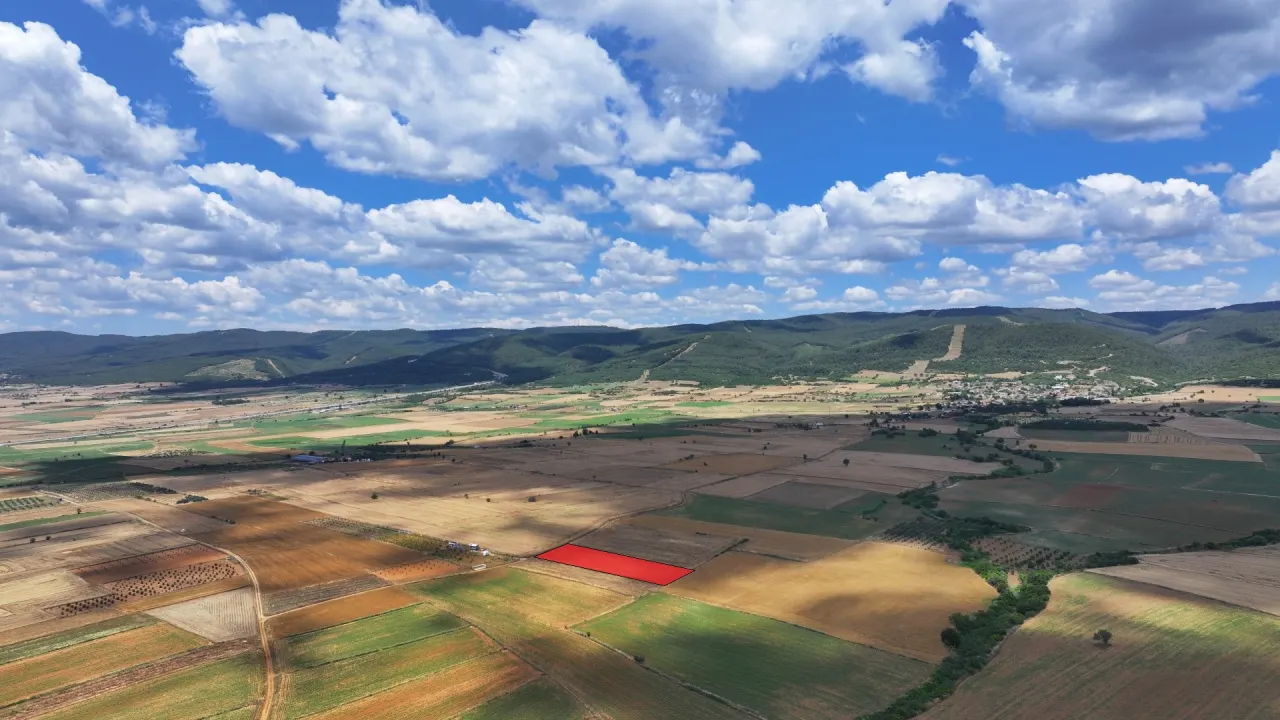 ÇANAKKALE GELİBOLU KALEALTINDA DENİZ MANZARALI 3,800m2 TARLA - görsel 7