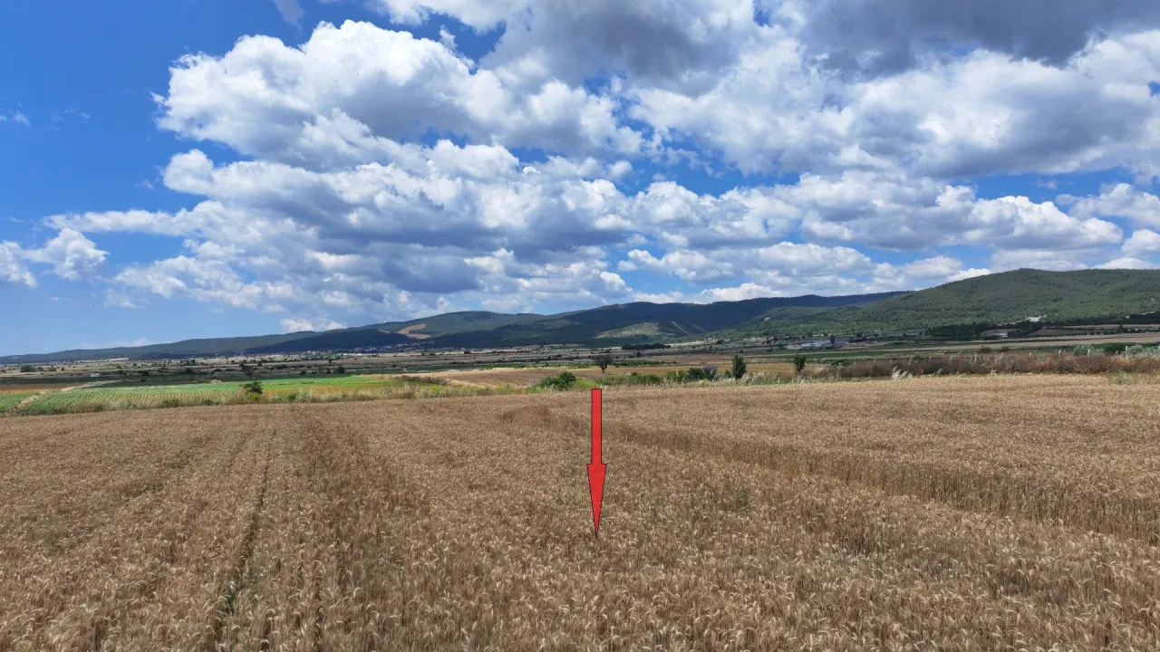 GELİBOLU KALEALTI KÖYÜNDE DENİZ MANZARALI 8,266m2 TARLA - görsel 20