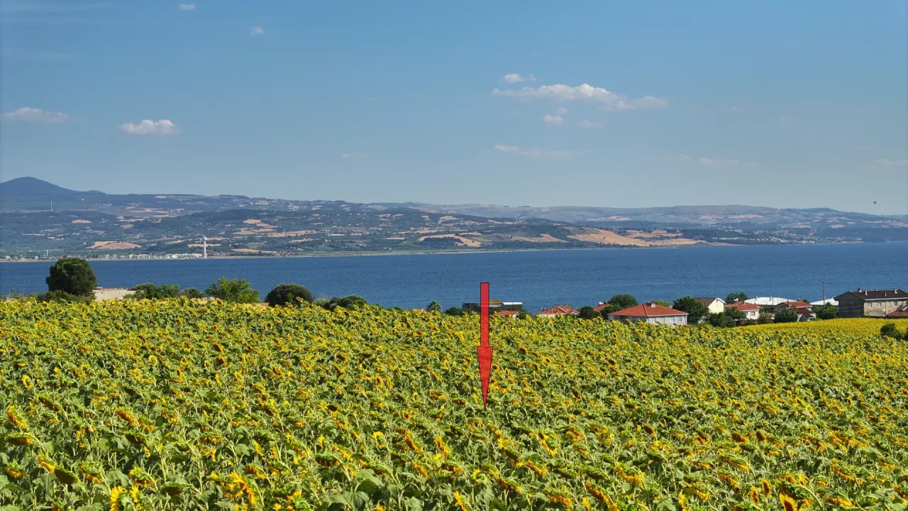 ÇANAKKALE GELİBOLU SÜTLÜCE'DE DENİZ MANZARALI 9,908m2 TARLA - görsel 13