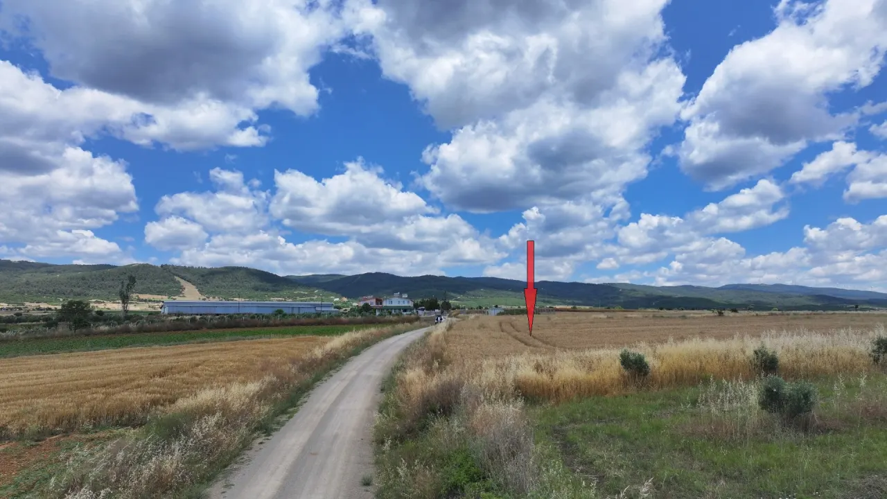 GELİBOLU KALEALTI KÖYÜNDE DENİZ MANZARALI 8,266m2 TARLA - görsel 13