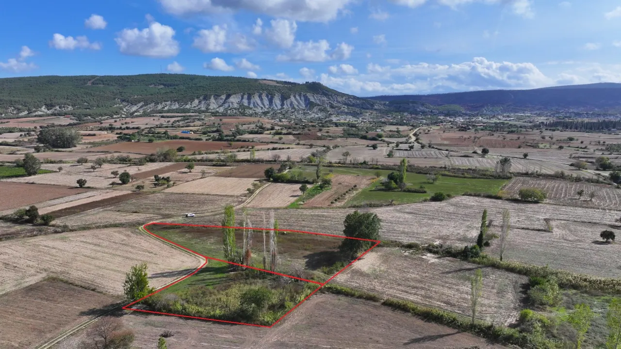 ÇANAKKALE GELİBOLU KARAİNEBEYLİ KÖYÜNDE 6,029m2 TARLA - görsel 15