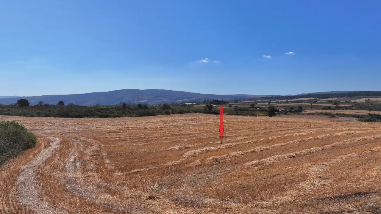 ÇANAKKALE GELİBOLU PAZARLI'DA MÜSTAKİL TAPULU 6,964m2 TARLA - görsel 15
