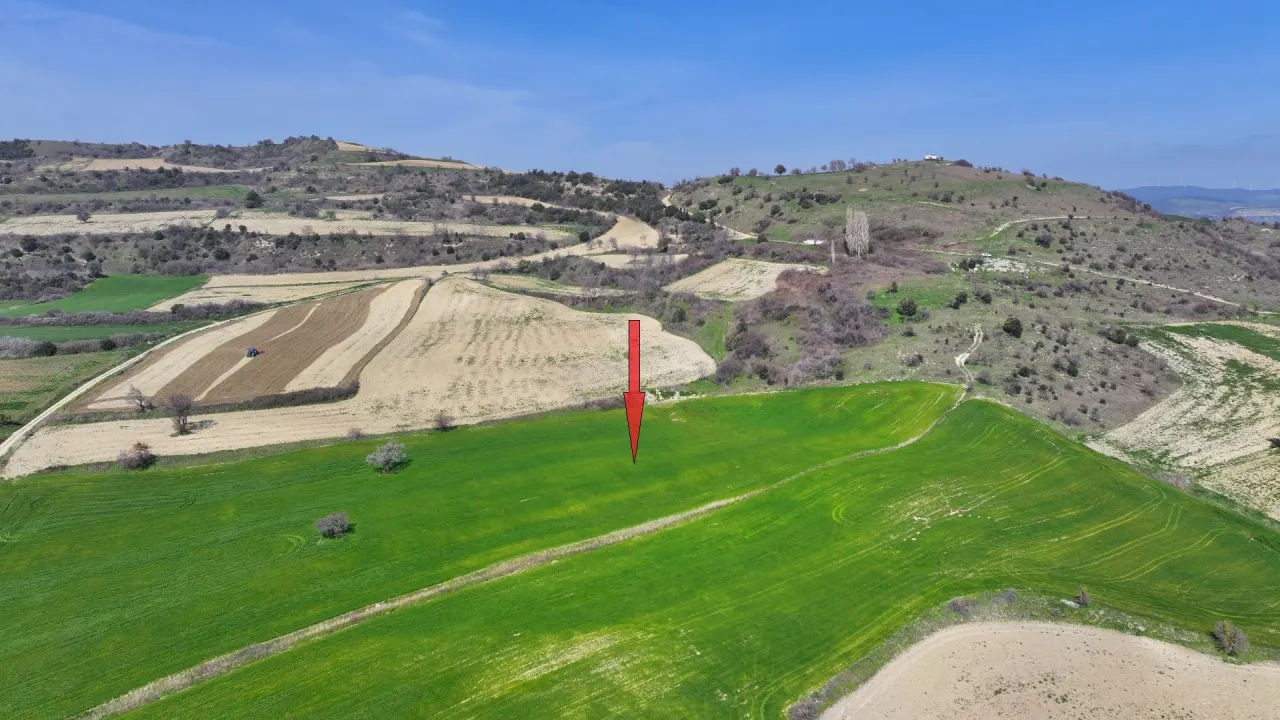 GELİBOLU BURHANLIDA BOĞAZ VE DENİZ MANZARALI 10,577m2 TARLA - görsel 18