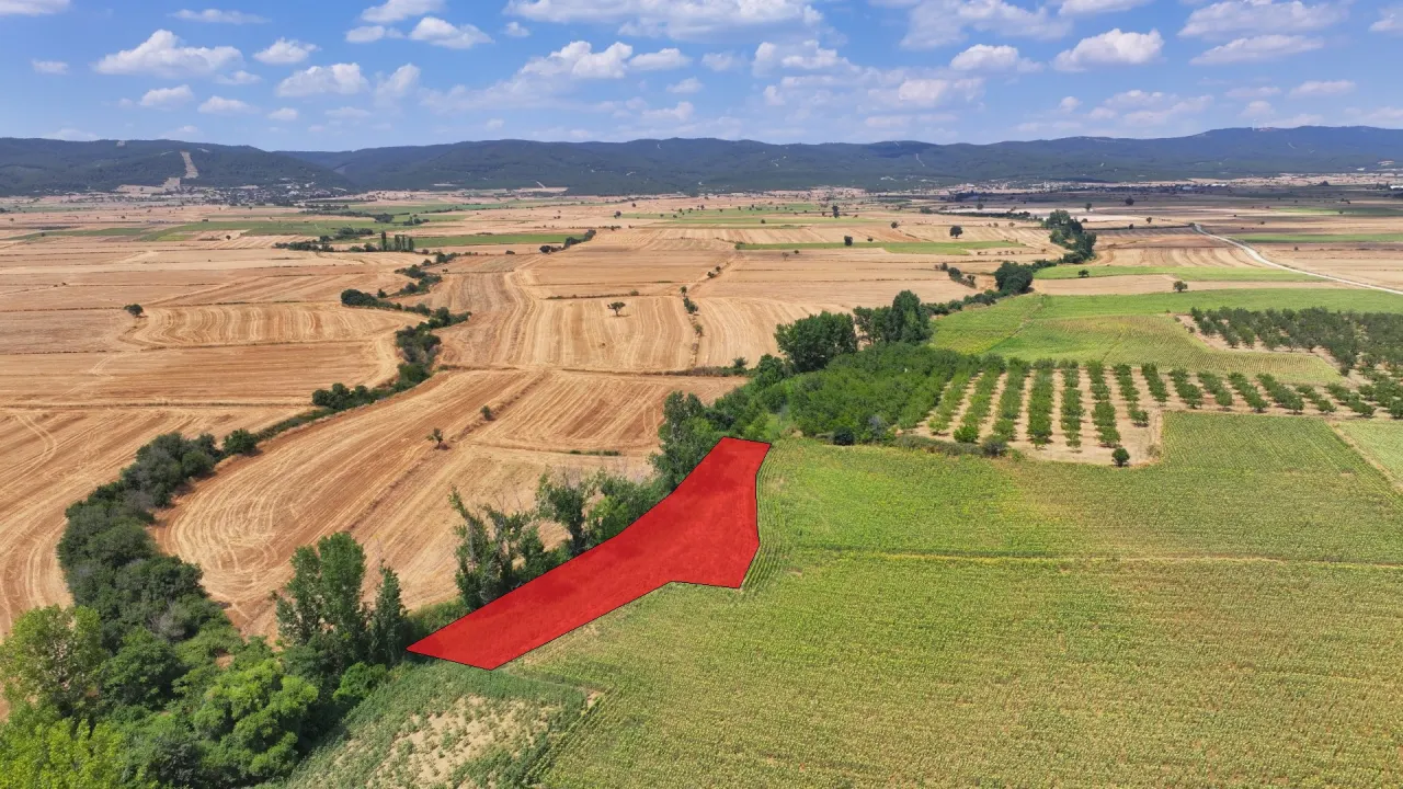 Çanakkale Gelibolu Şadıllı Köyünde Müstakil Tapulu 1,471m2 Tarla - görsel 4