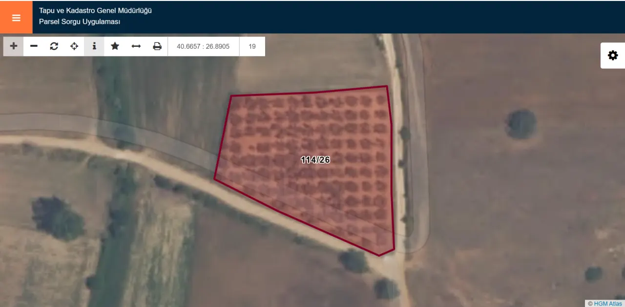 ÇANAKKALE GELİBOLU EVREŞEDE 2,674m2 SANAYİ İMARLI ZEYTİNLİK - görsel 24