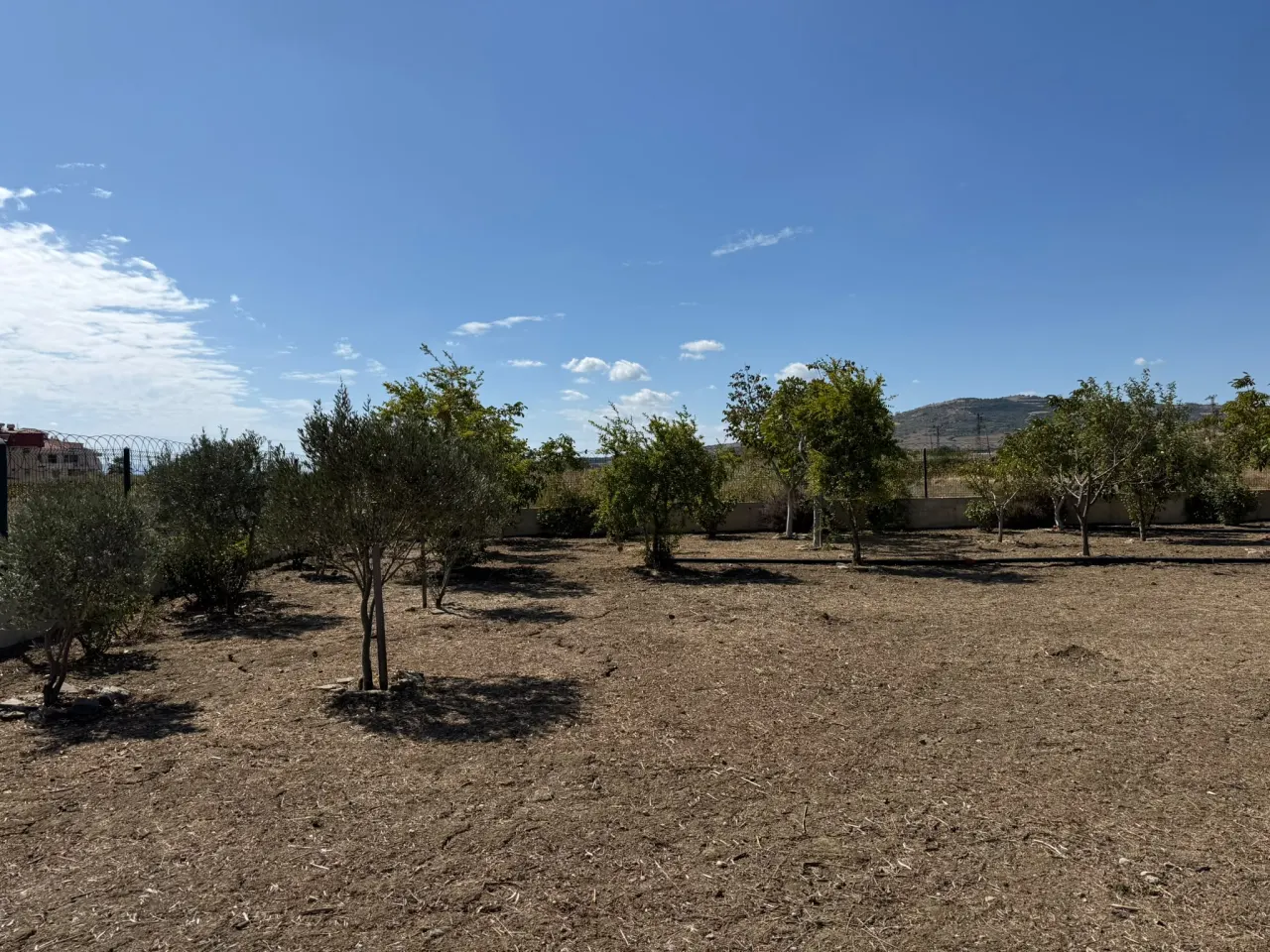 ÇANAKKALE GELİBOLU SÜTLÜCE 875m2 KÖPRÜ VE DENİZ MANZARALI ARSA - görsel 21